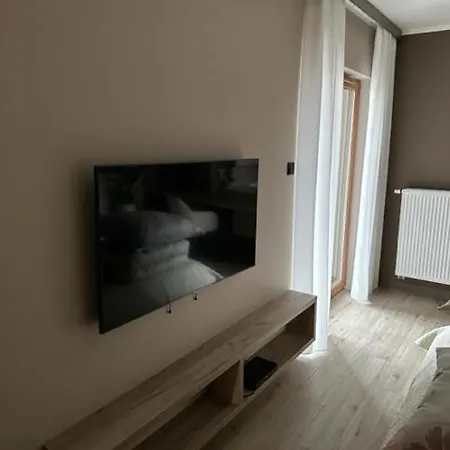 Gold Centrum Garaz Apartament Gliwice