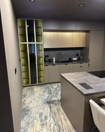 Gold Centrum Garaz Apartament Gliwice