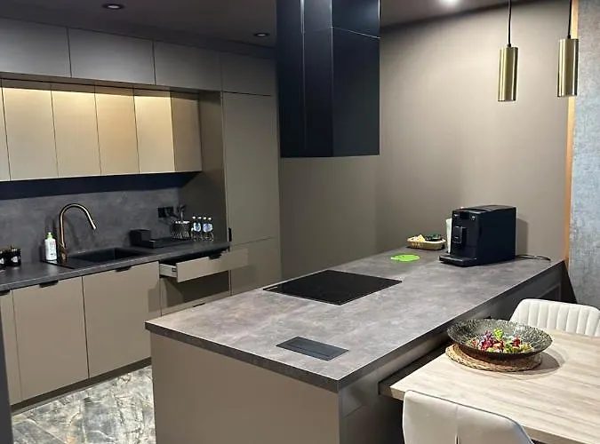 Lägenhet Gold Centrum Garaz Gliwice